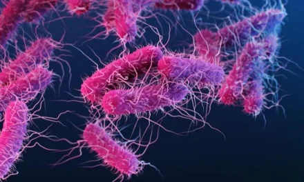 What to know about E.coli