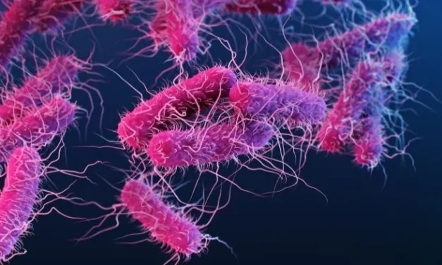 What to know about E.coli