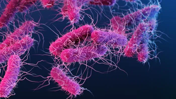 What to know about E.coli
