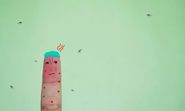 7 things to know about malaria