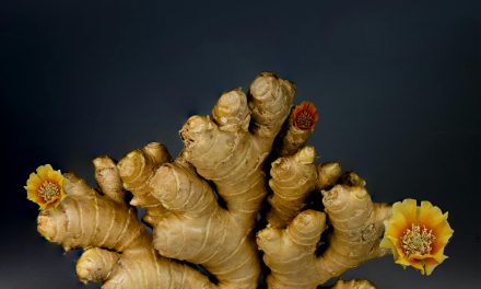 Quick ways to add vitamins to your diet (no pills needed)