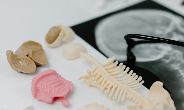 Worried about your bone health? Here’s what a bone density test reveals