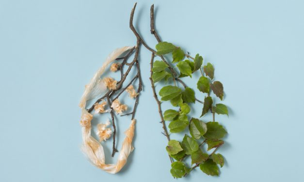 Boost your lung health with nourishing food