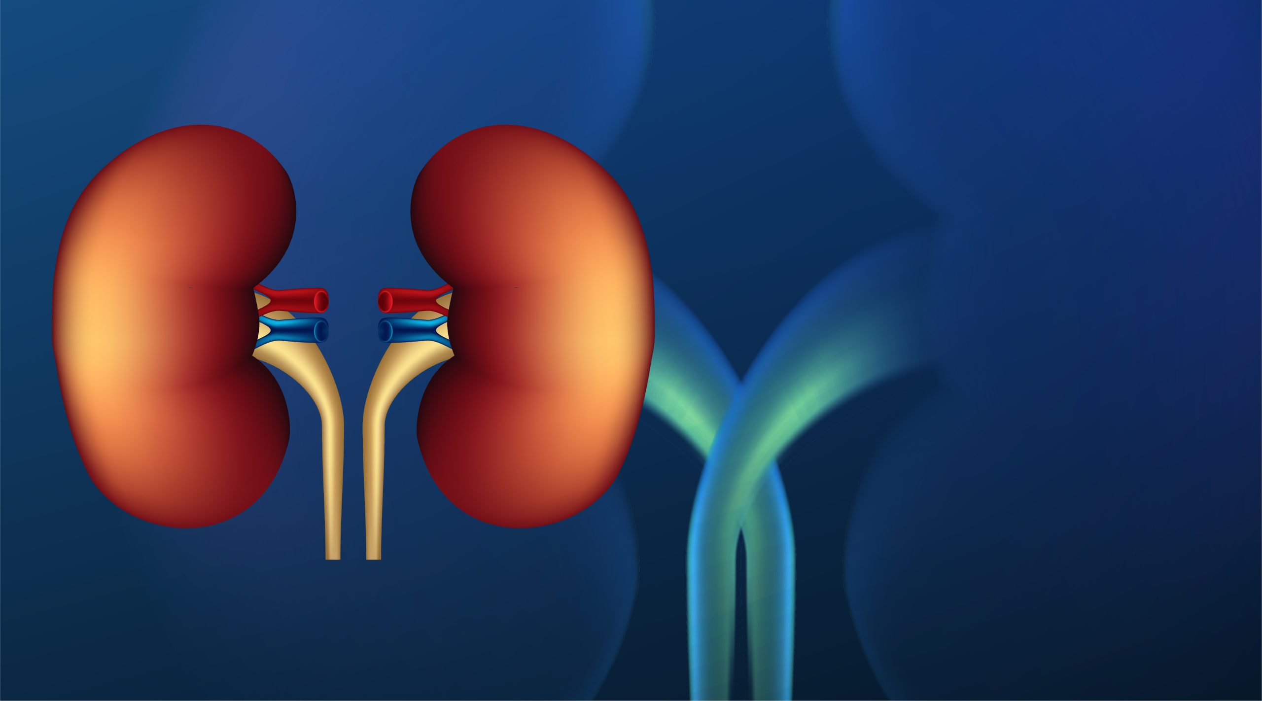 Tips for better kidney health
