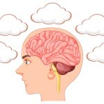 Brain health essentials: tips for improved memory and mood
