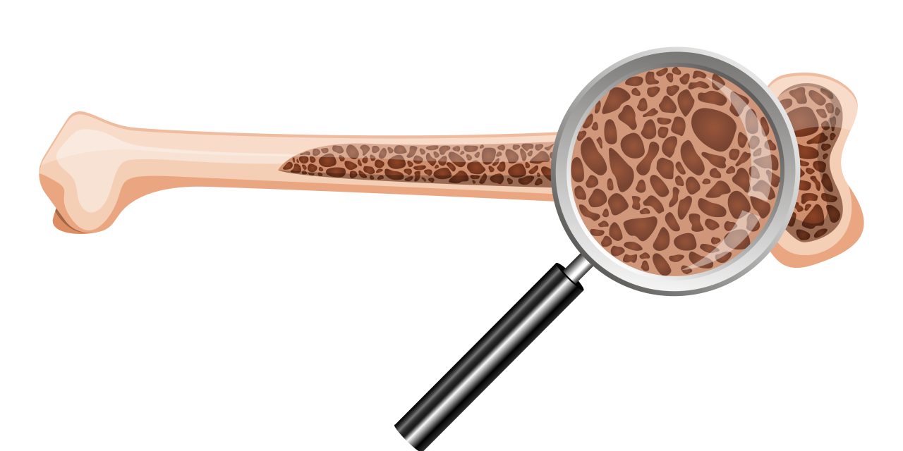 Inside your bones: the role of bone marrow in everyday health