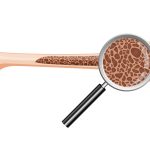 Inside your bones: the role of bone marrow in everyday health