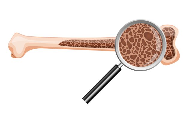 Inside your bones: the role of bone marrow in everyday health