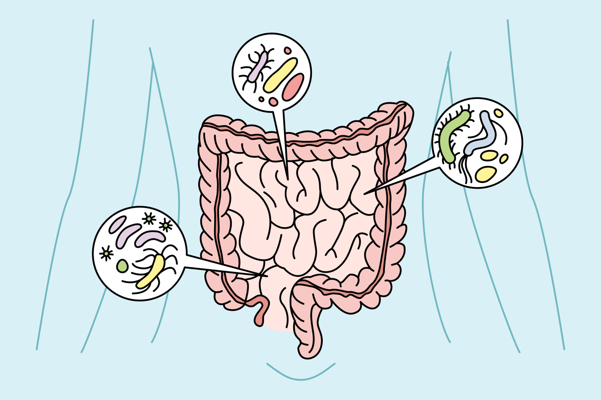 Gut health impact on chronic fatigue