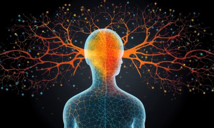 More than a medical condition: epilepsy through a neurologist’s eyes