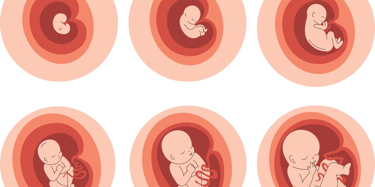 Epigenetics and pregnancy: how your lifestyle shapes your baby’s health