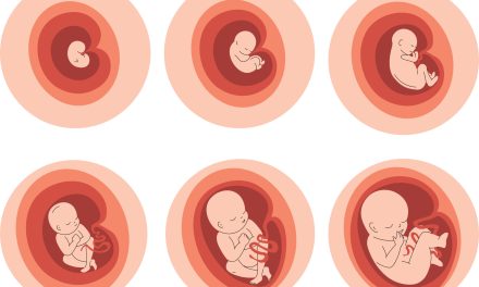 Epigenetics and pregnancy: how your lifestyle shapes your baby’s health