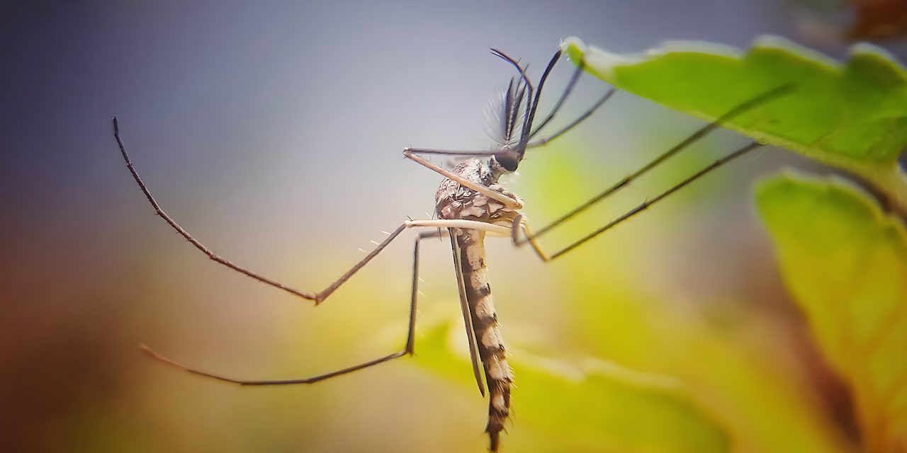 Malaria risk due to floods in various provinces