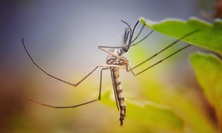 Malaria risk due to floods in various provinces