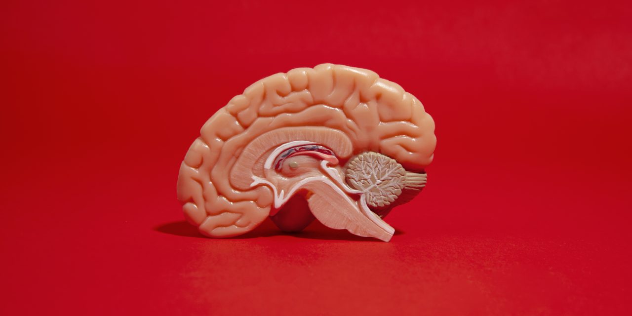 Early treatment helps protect the brains of people living with HIV