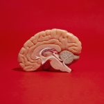 Early treatment helps protect the brains of people living with HIV