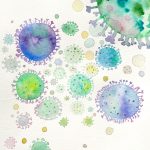 The path of infection: how germs spread in daily life
