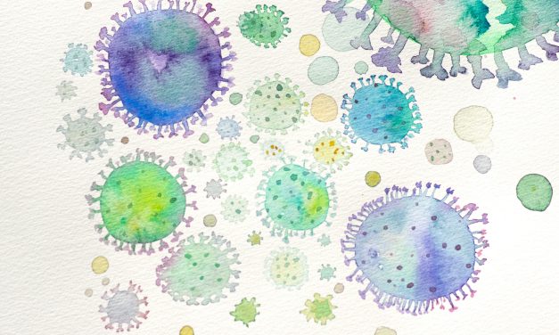 The path of infection: how germs spread in daily life