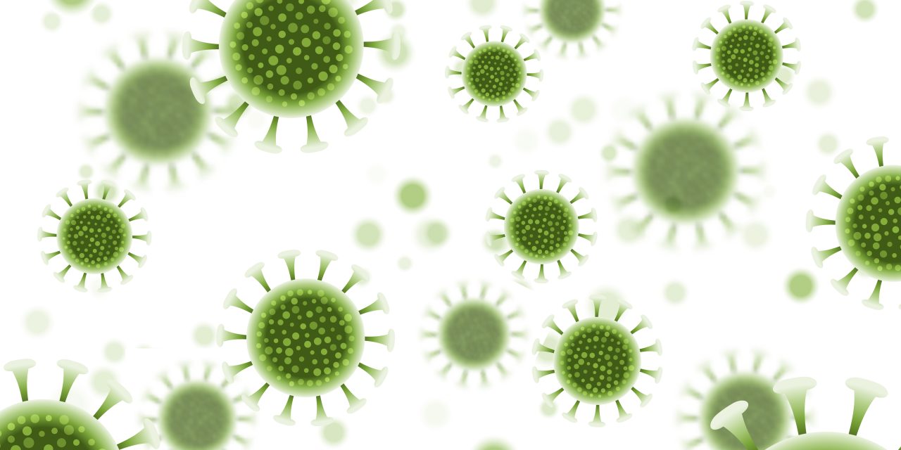 What is hantavirus? Causes, symptoms, and prevention