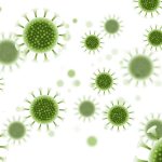 What is hantavirus? Causes, symptoms, and prevention