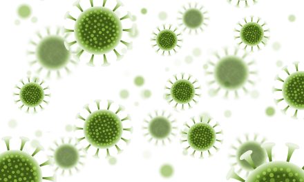 What is hantavirus? Causes, symptoms, and prevention