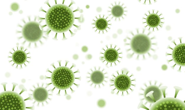 What is hantavirus? Causes, symptoms, and prevention