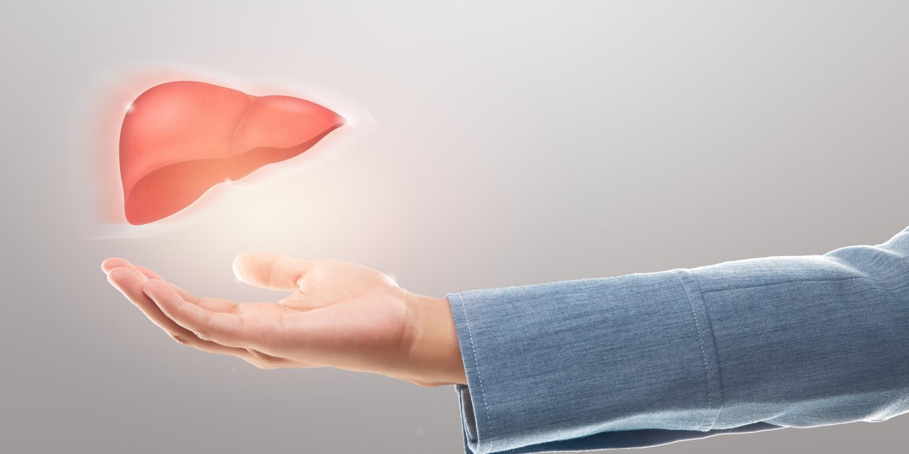 How new liver perfusion technology could help save more lives in South Africa