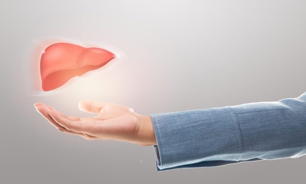 How new liver perfusion technology could help save more lives in South Africa